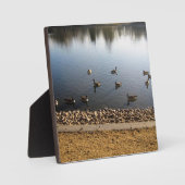 Denver City Park, Denver, Colorado Fotoplatte (Vorderseite)