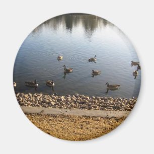 Denver City Park, Denver, Colorado Magnet