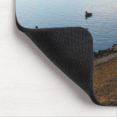 Denver City Park, Denver, Colorado Mousepad (Ecke)
