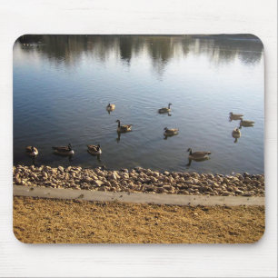Denver City Park, Denver, Colorado Mousepad