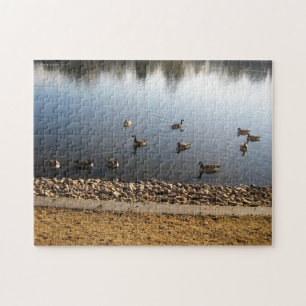 Denver City Park, Denver, Colorado Puzzle