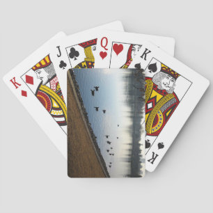 Denver City Park, Denver, Colorado Spielkarten