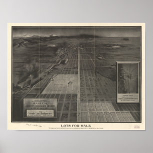 Denver Colorado "Lots for Sale" 1907 Panoramakarte Poster