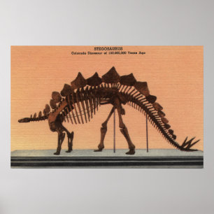 Denver, Colorado - Museum für Naturgeschichte Poster