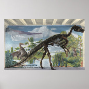 Denver, Colorado - Museum von Naturgeschichte 2 Poster