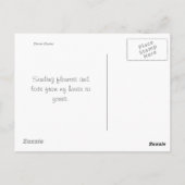 Denver daisies postkarte (Rückseite)