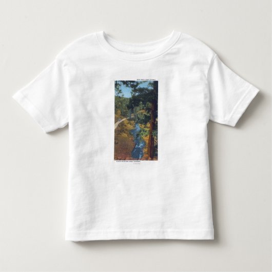 Denver-Gebirgspark, Co - Bärn-Nebenfluss-Schlucht Kleinkind T-shirt (Vorderseite)