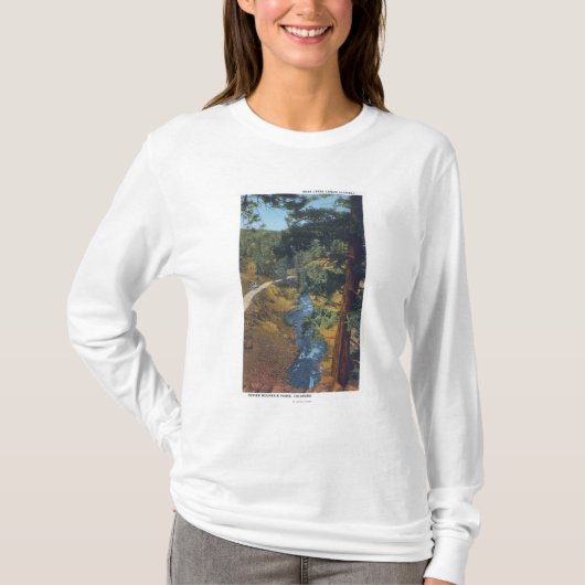 Denver-Gebirgspark, Co - Bärn-Nebenfluss-Schlucht T-Shirt (Vorderseite)