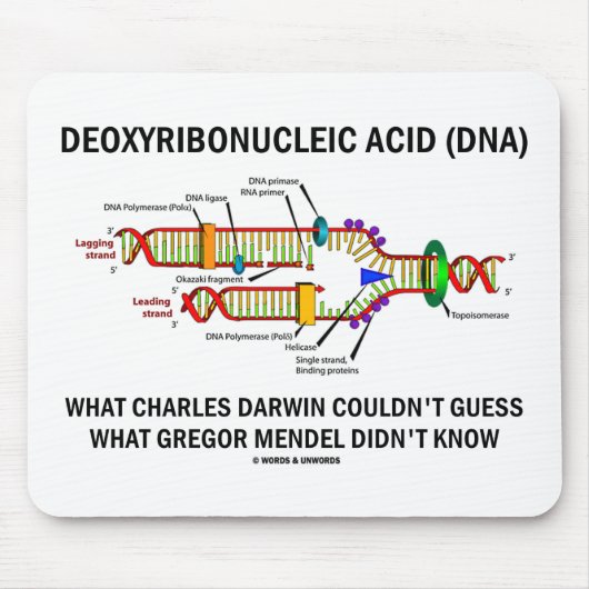 Deoxyribonucelic saurer (DNS) Mendel Darwin Mousepad (Vorne)