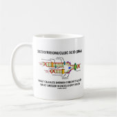 Deoxyribonucelsäure (DNA) Mendel Darwin Kaffeetasse (Links)