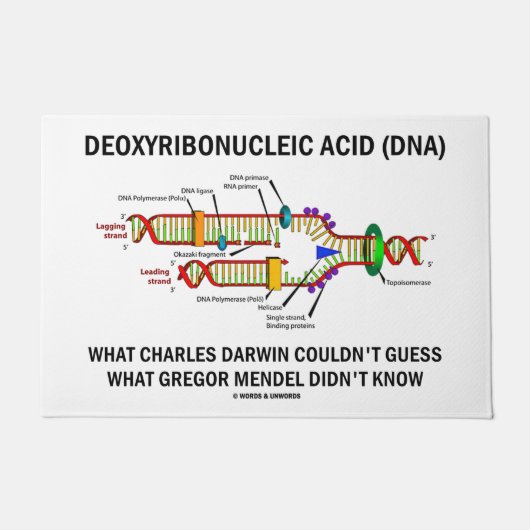 Deoxyribonukleinsäure DNA Darwin Mendel Geek Spaß Fußmatte (Vorderseite)