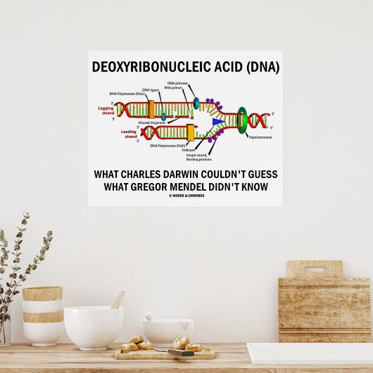 Deoxyribonukleinsäure (DNA) Darwin Mendel Sprichwo Poster (Küche)