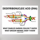 Deoxyribonukleinsäure (DNA) Darwin Mendel Sprichwo Poster (Vorne)