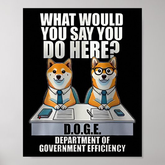 Department of Government Efficiency Poster (Vorne)