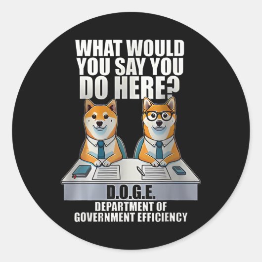 Department of Government Efficiency Runder Aufkleber (Vorderseite)