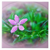 Deptford Pink Wildblume Fliese (Vorderseite)