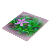Deptford Pink Wildblume Fliese (Seite)