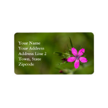 Deptford Pink Wildblume Floral Labels