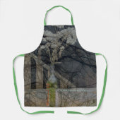 Der 13. Skult. Schürze (Vorderseite)