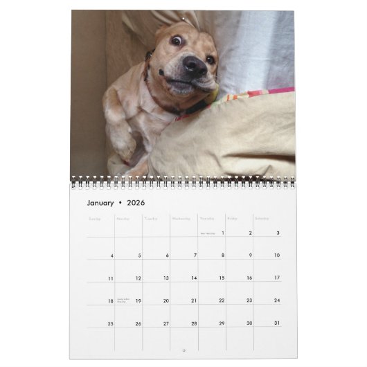 Der 2013 "mein HundeDolch-" Kalender (Jan 2026)
