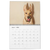 Der 2013 "mein HundeDolch-" Kalender (Mär 2026)