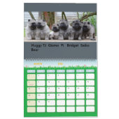 Der 2016 Trompetekeeshond-Kalender: Welpen-Ausgabe Kalender (Mär 2026)
