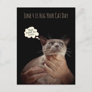 Der 4. Juni ist Ihr Tag der Katze Postkarte