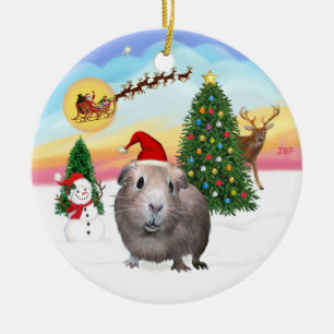 Der Abflug - Versuchskaninchen #2 Keramikornament