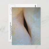 Der Abstand zwischen Postkarte (Vorne/Hinten)