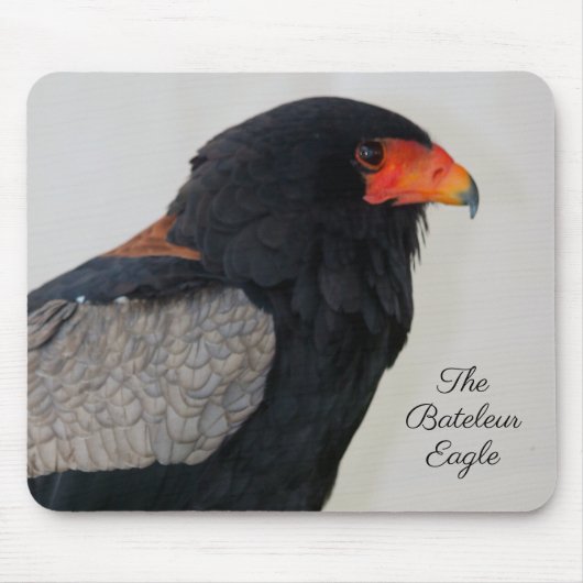 Der Adler Bateleur Mousepad (Vorne)