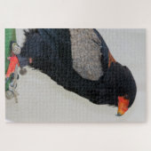 Der Adler Bateleur Puzzle (Horizontal)