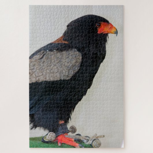 Der Adler Bateleur Puzzle (Vertikal)
