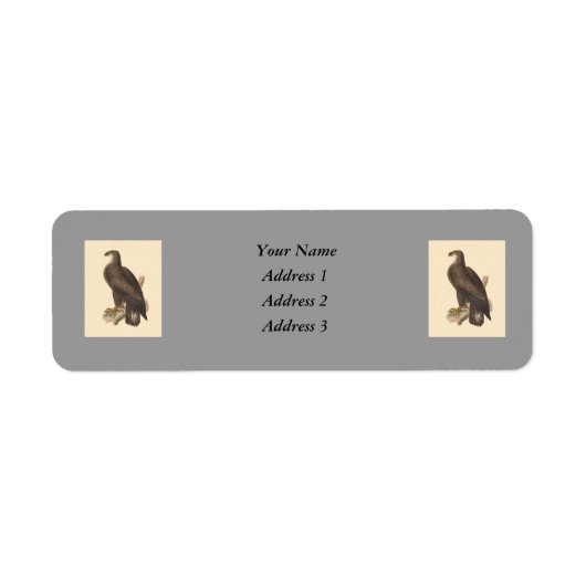 Der Adler (Haliaetos leucocephalus) (Vorne)
