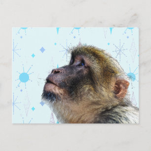 Der Affe betrachtet die Tapete aus der Mitte des J Postkarte