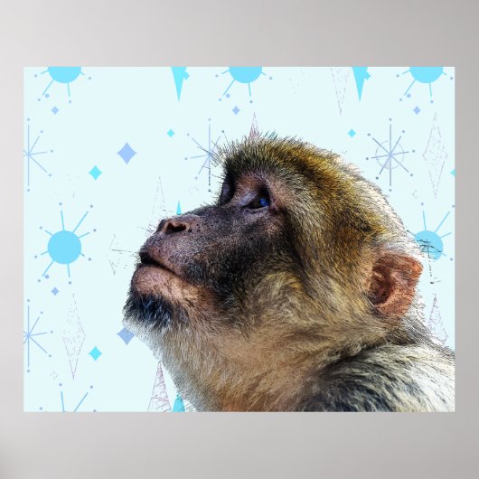 Der Affe blickt auf das moderne Hintergrundbild de Poster (Vorne)