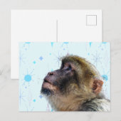 Der Affe blickt auf das moderne Hintergrundbild de Postkarte (Vorne/Hinten)