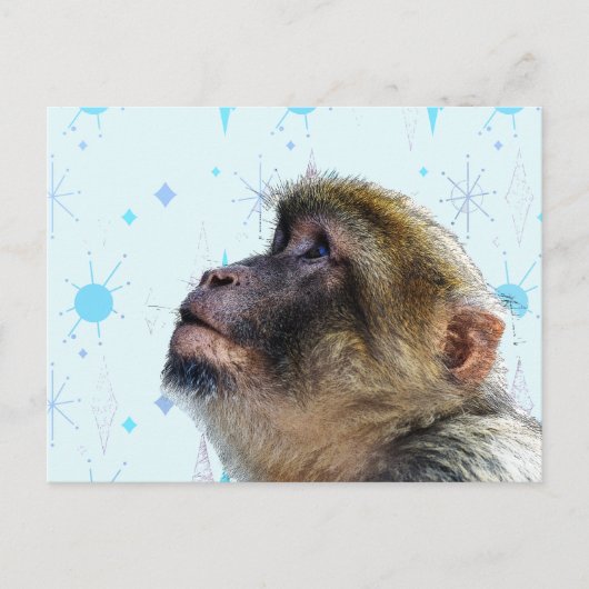 Der Affe blickt auf das moderne Hintergrundbild de Postkarte (Vorderseite)