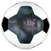 Der Affe im Dschungel Fußball (Gedreht)