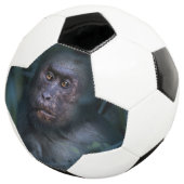 Der Affe im Dschungel Fußball (Dreiviertel)