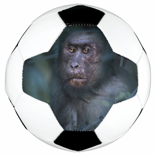 Der Affe im Dschungel Fußball (Vorderseite)