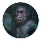 Der Affe im Dschungel Keramikknauf (Vorderseite)