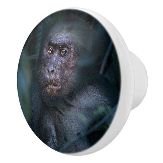 Der Affe im Dschungel Keramikknauf (Rechts)