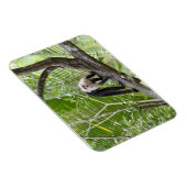 Der Affe im Dschungel Magnet (Rechte Seite)