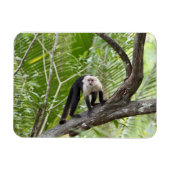 Der Affe im Dschungel Magnet (Horizontal)