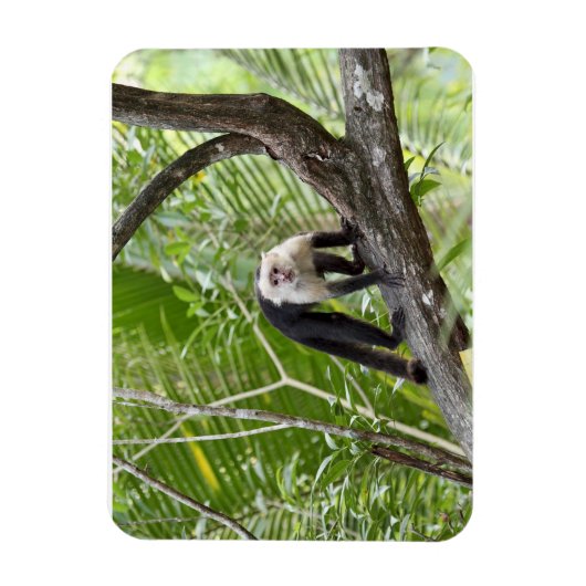 Der Affe im Dschungel Magnet (Vertikal)