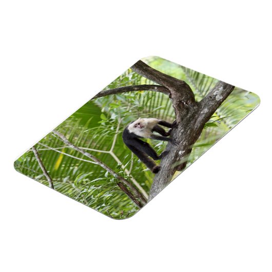 Der Affe im Dschungel Magnet (Linke Seite)