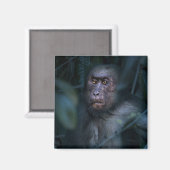 Der Affe im Dschungel Magnet (Vorderseite/Rückseite)