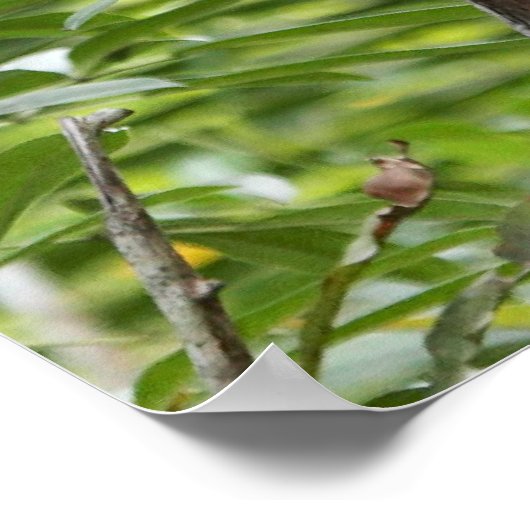 Der Affe im Dschungel Poster (Ecke)