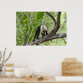 Der Affe im Dschungel Poster (Küche)