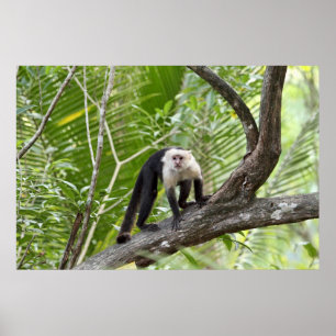 Der Affe im Dschungel Poster